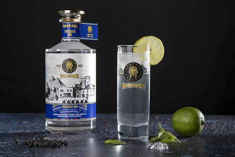 Copyright by Sanja Veljkovic