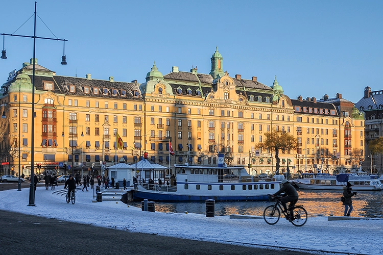 Copyright by Sanja Veljkovic