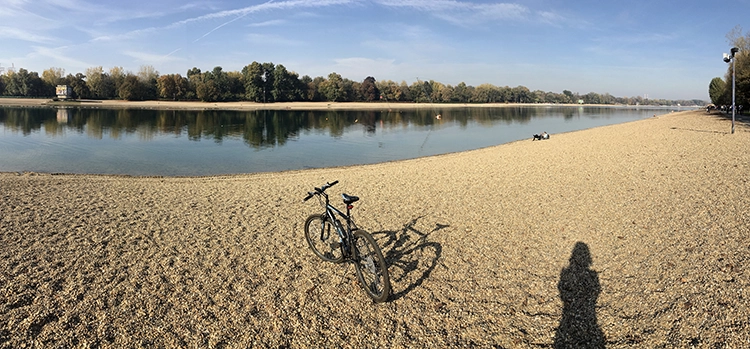 Copyright by Sanja Veljkovic