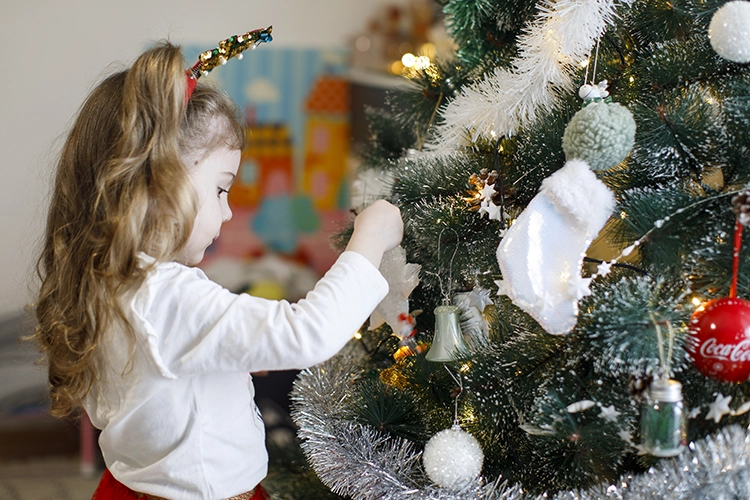 Copyright by Sanja Veljkovic