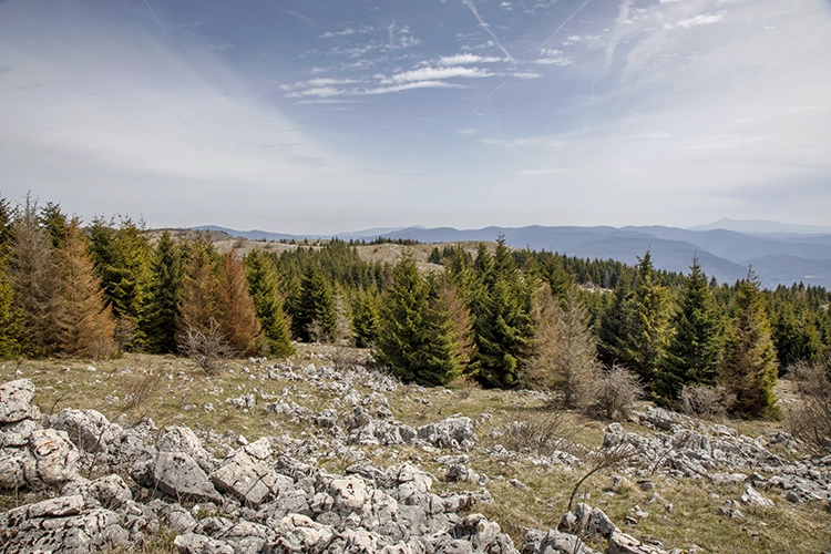 Najlepši trening: pejzažna fotografija