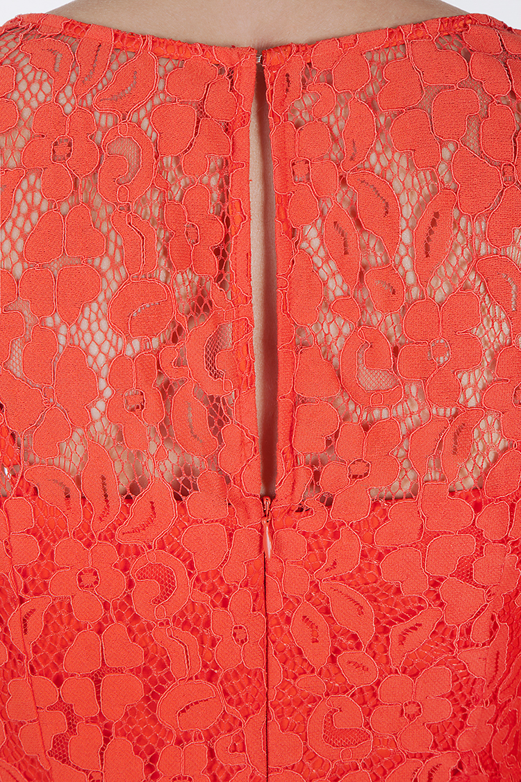 Copyright by Sanja Veljković