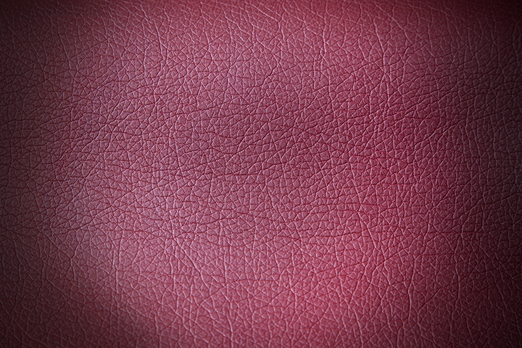 Copyright by Sanja Veljković