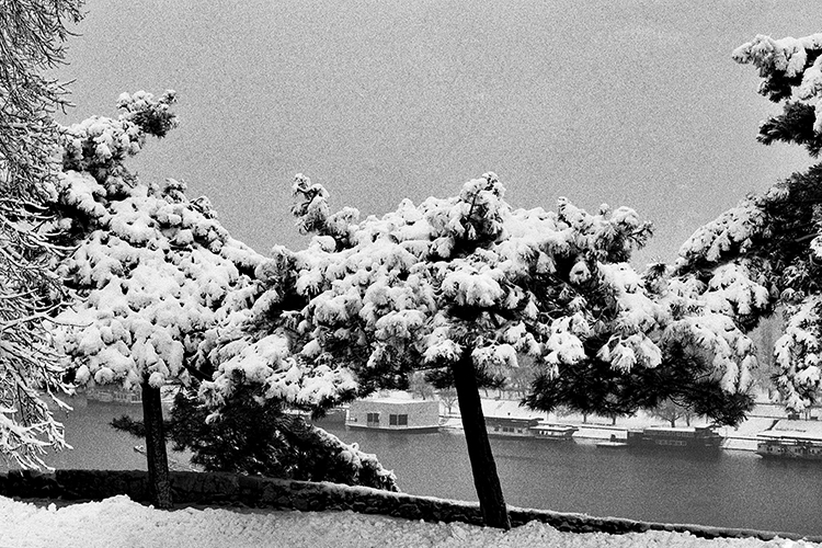 Belgrade, Serbia Copyright by Sanja Veljkovic