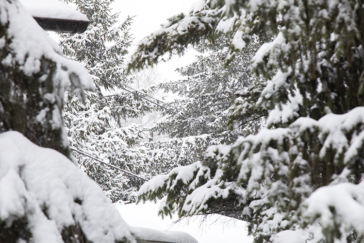 Belgrade, Serbia Copyright by Sanja Veljkovic