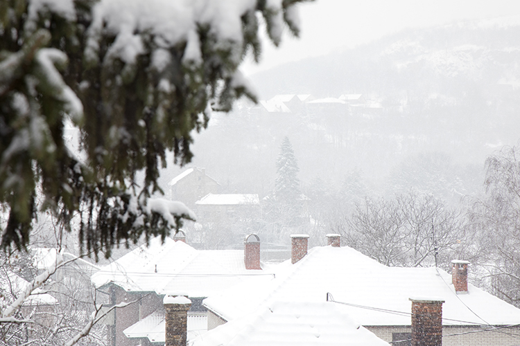 Belgrade, Serbia Copyright by Sanja Veljkovic