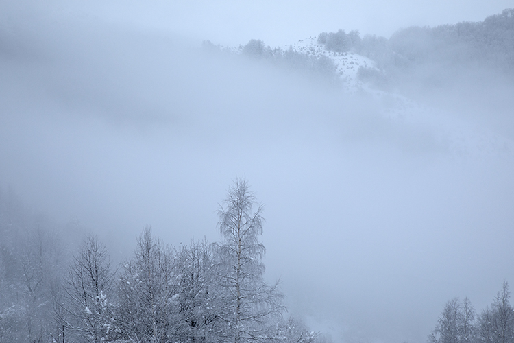 Kopaonik, Serbia Copyright by Sanja Veljkovic