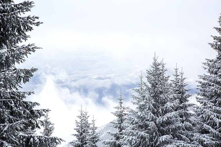 Kopaonik, Serbia Copyright by Sanja Veljkovic