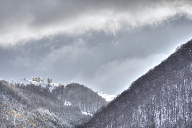 Kopaonik, Serbia Copyright by Sanja Veljkovic