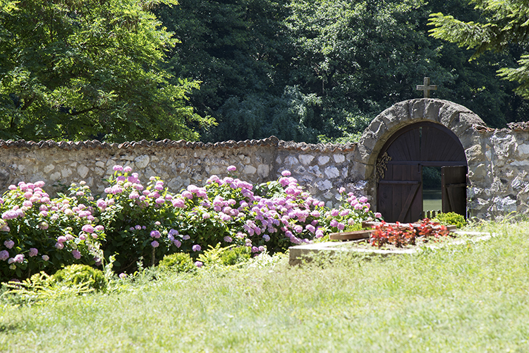 Copyright by Sanja Veljković