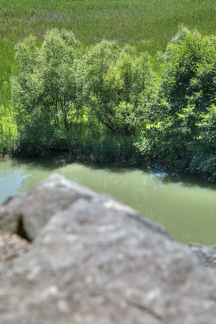 Copyright by Sanja Veljković