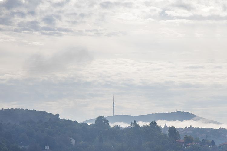 Copyright by Sanja Veljkovic