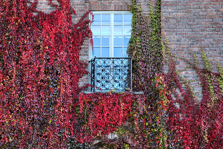 Copyright by Sanja Veljković