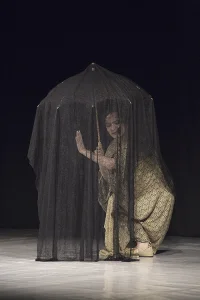 Theater Photography